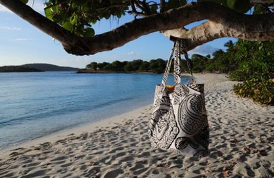 bag on beach Bag hanging from branch of tree on a beach