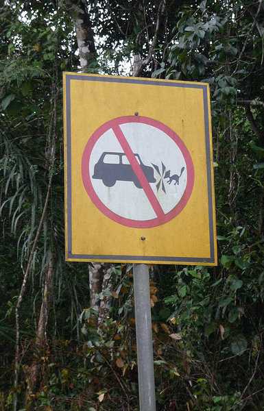critters crossing