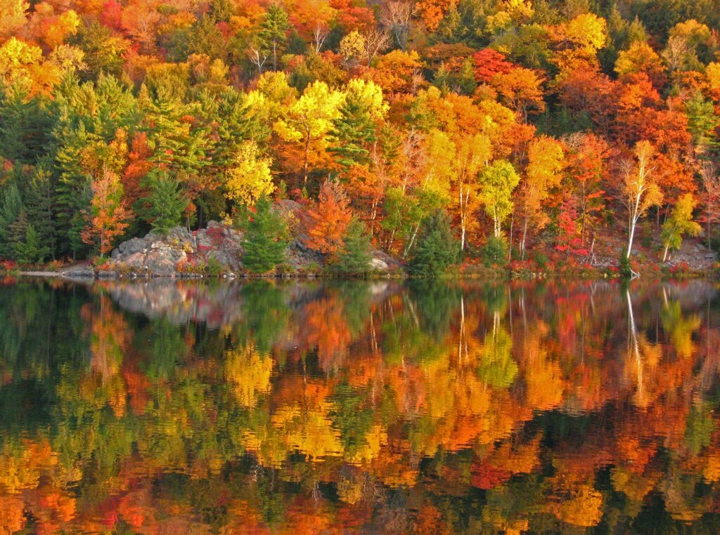 Autumn Foliage Colours New Hampshire