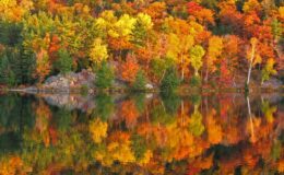 Autumn Foliage Colours New Hampshire
